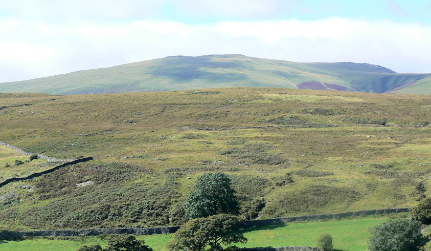 Whin Rigg Whin Rigg